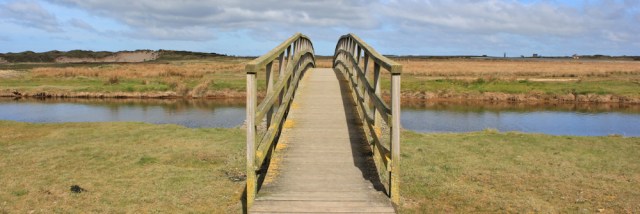 03 footbridge, Ruth Livingstone