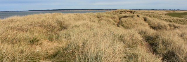 05 grassy dunes, Morfa Dinlle, Ruth hiking to Caernarfon