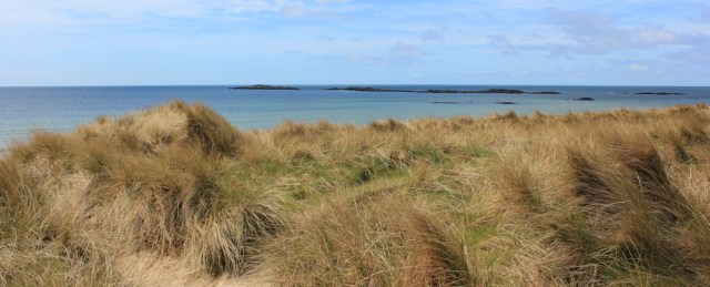 05 Tywyn Trewan Common, Ruth walking across dunes in Anglesey
