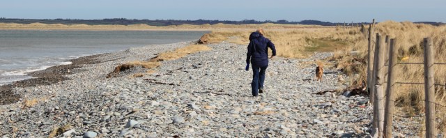 06 dog walker, Morfa Dinlle dunes, Ruth Livingstone