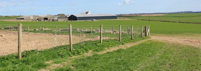 10 permissive path through Bodogan Estate, Ruth hiking the Isle of Anglesey Coast Path