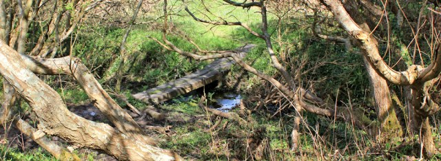 11 rickety bridge, Ruth trekking in Anglesey