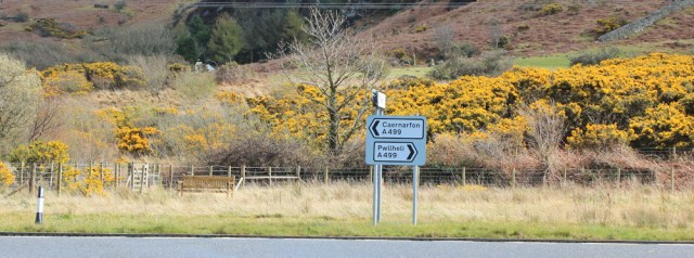 12 road walking towards Caernarfon, Ruth on the Wales Coast Path