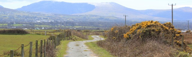 14 down farm track, Ruth walking in Morfa Dinlle
