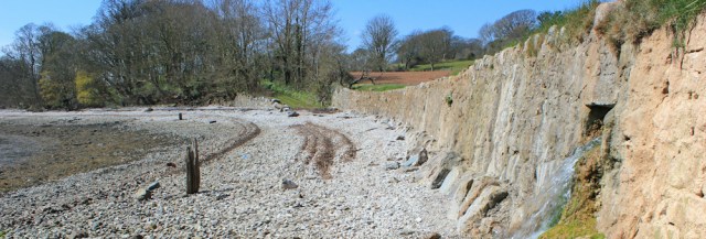 16 shingle beach, Ruth on the Isle of Anglesey Coastal Path