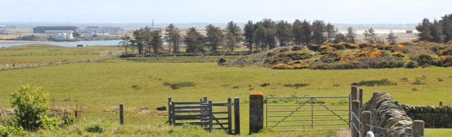 17 across fields to Silver Bay, Ruth walking the Isle of Anglesey coastal path