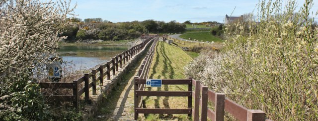 19 Tyddyn-y-cob bridge, Ruth walking to Valley, Anglesey