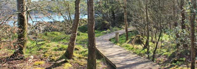 21 National Trust, Coed Mor, Ruth hiking in Anglesey