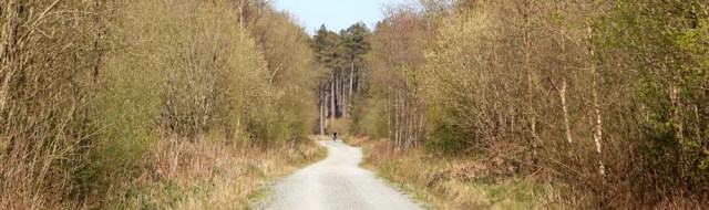 22 more hiking, Newborough Forest, Ruth walking the coast path