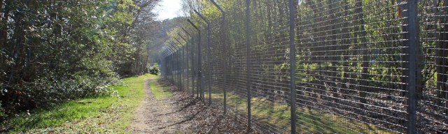 26 unfriendly path, Ruth walking in Anglesey