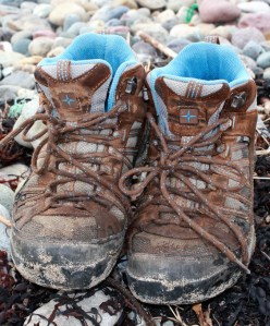 farewell dear boots, Ruth Livingstone