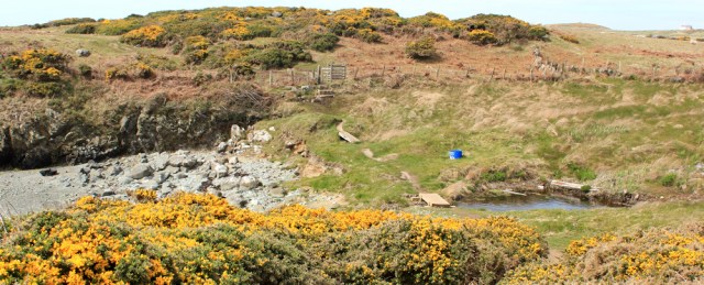 a06 Porth Gorslwyn, Ruth's coastal walk, Anglesey