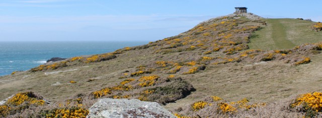 a15 climbing up to lookout station, Rhoscolyn, Anglesey, Ruth's coastal walk