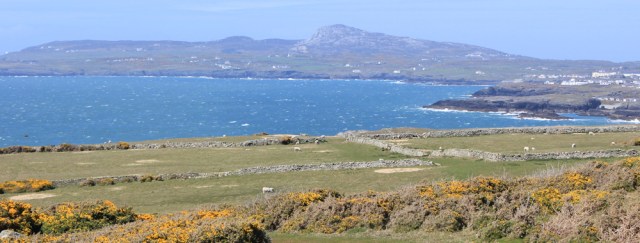 a18 Holyhead Mountain, Ruth on the Anglesey Coast Path