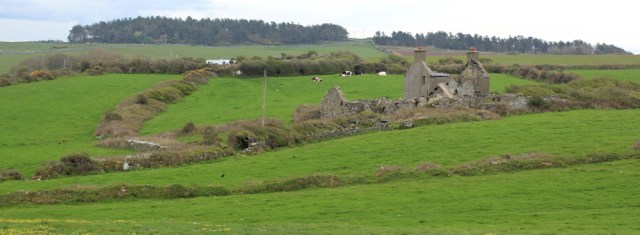 03 farmland and abandoned buildings, Ruth on the west coast of Anglesey