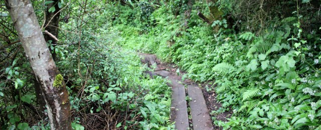 07 board walk, Ruth hiking in Anglesey