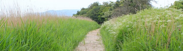 07 walkway, Ruth hiking around Red Wharf Bay, Anglesey