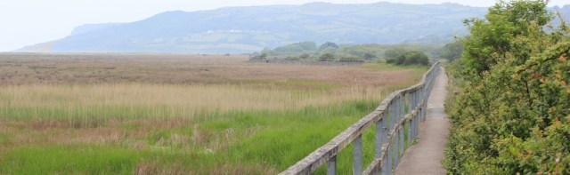 08 raised walkway, Isle of Anglesey Coastal Path, Ruth walking around Red Wharf Bay
