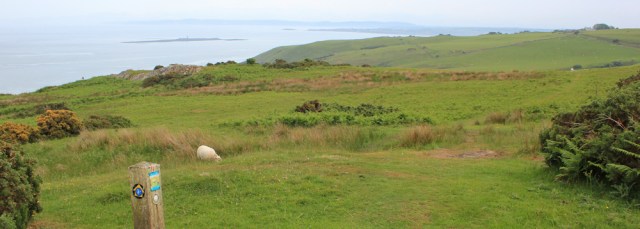 08 walking towards Ynys Dulas, Ruth's coastal walk, Anglesey