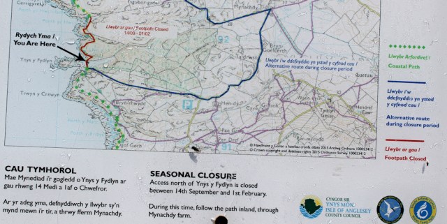 12 alternative footpaths, Ruth's coastal walk, Anglesey