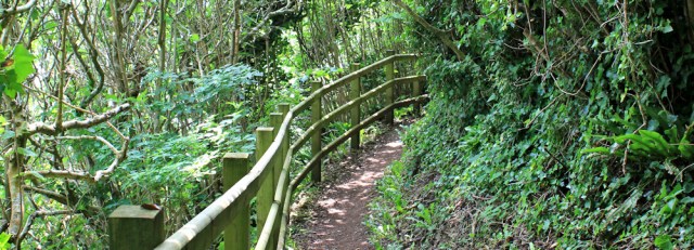 14 coast path, Moelfre to Benllech, Ruth's coastal walk, Wales