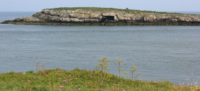 15 Ynys Moelfre, Ruth's coastal walk, Anglesey