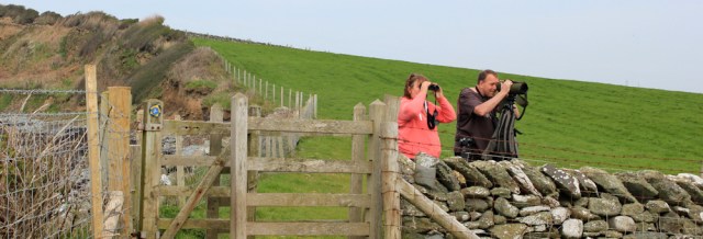 20 twitchers, Ruth in Anglesey