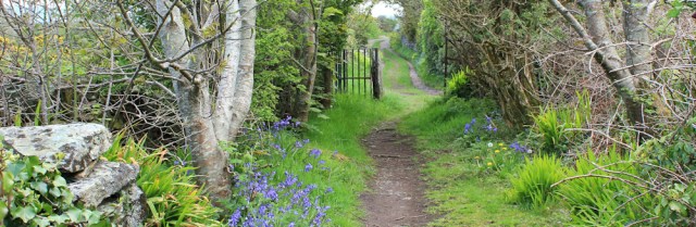 21 inland towards Amlwch, Ruth's coastal walk, Wales