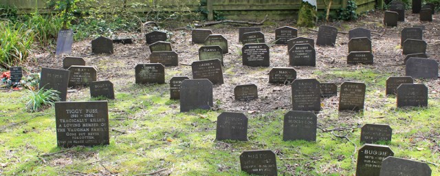 22 pet graveyard, Ruth walking through Penrhos Coastal Park