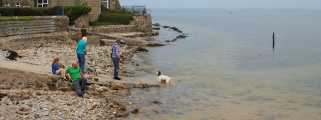 24 Dog at Red Wharf Bay, Ruth Livingstone