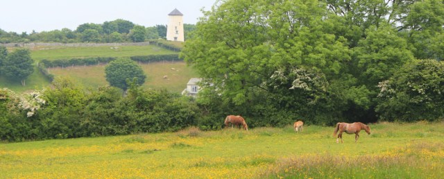 24 windmill at Glan-yr-Afon, Ruth's coastal walk, Anglesey