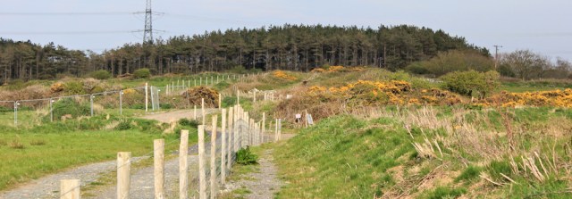 25 walking around the perimeter, Wylfa Power Station