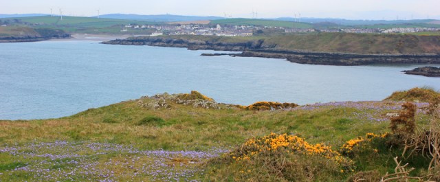 29 Wylfa Head to Caemas, Ruth's coastal walk, Anglesey