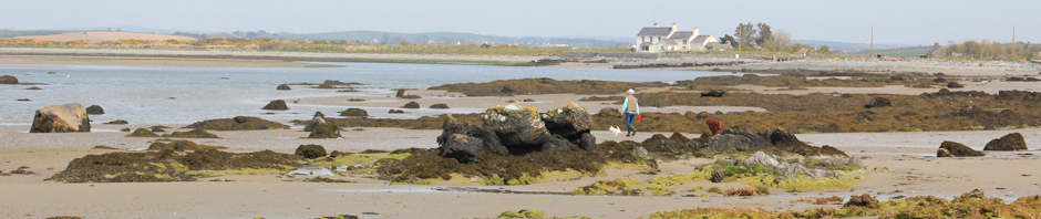 header, Penrhyn Bach, Ruth Livingstone