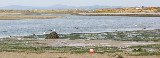 a08 mouth of the estuary up to Llanfachraeth, Ruth's coastal walk