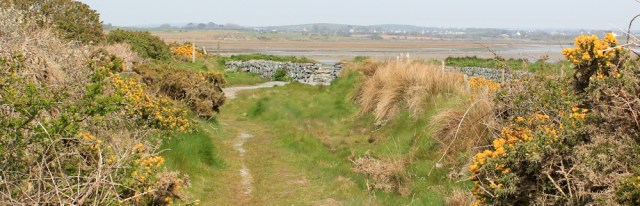 a10 deviation Penrhyn Bach, Ruth's coastal walk
