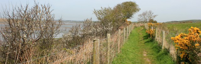 a12 Anglesey coast path, Ruth hiking up estuary to Llanfachraeth
