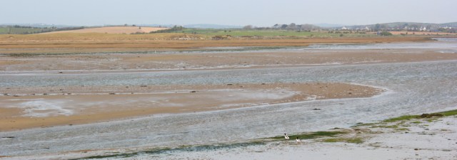 a13 estuary walking, Ruth hiking the Isle of Anglesey Coastal Path