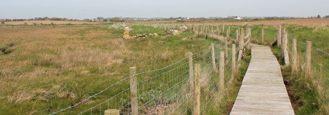a14 boardwalk, Llanfachraeth estuary, Ruth's coastal walk