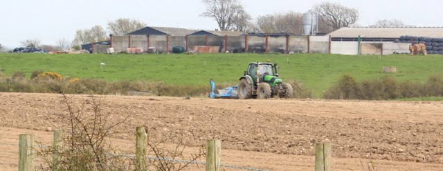 a17 green tractor, Ruth Livingstone coastal walking