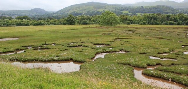06 Glan y Mor Elias, Ruth's coastal walk, Wales