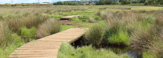 21 boggy ground, Ruth on the Wales Coast Path, Pentre Ffwrndan