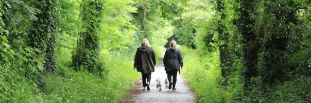 a03 walking route, North Wales Path, Ruth trekking in Bangor
