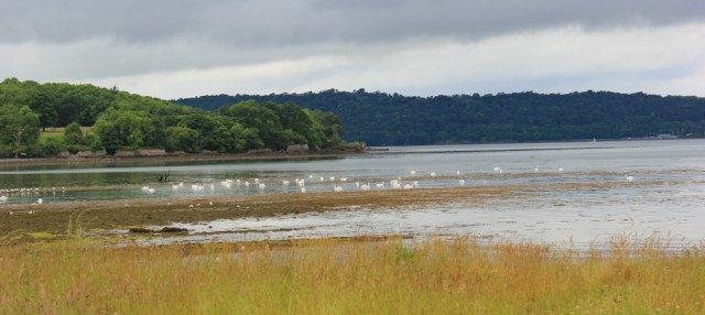 a13 Afon Ogwen, Ruth's coastal trek, North Wales