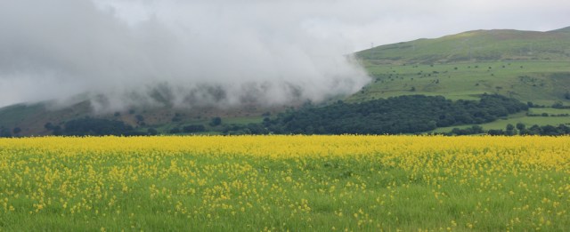 a15 rape fields and clouds, Ruth hiking the coast, Snowdonia