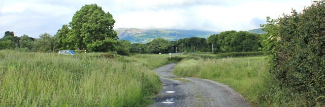 a21 Morfa Aber nature reserve, Ruth Livingstone