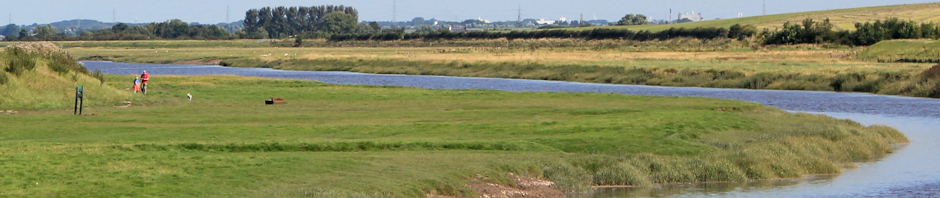 Header, Ribble Valley, Ruth Livingstone