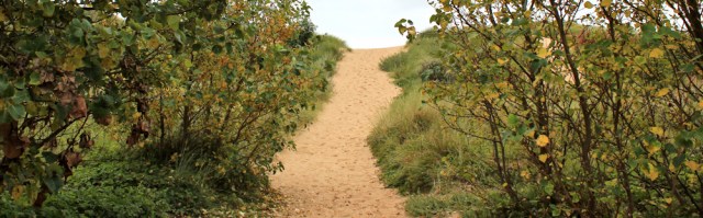 01 Formby, Ruth's coastal walk, Sefton