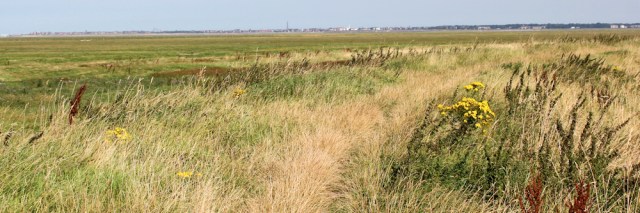 08 footpath along the marsh wall, Ruth's coastal walk, Ribble Estuary