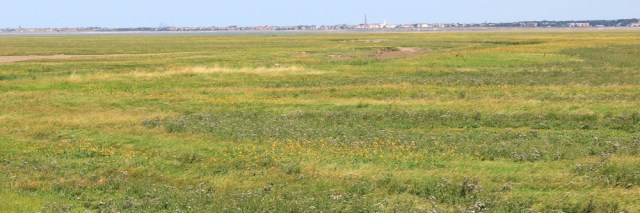 10 Ribble Estuary Nature Reserve and marsh, Ruth's coastal walk.